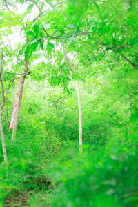 BIB: 
                            <button type="button" onclick="openModal(22090852)" class="btn btn-primary btn-sm float-right btn-popup" data-toggle="modal" data-target=".modal-high-quality">
                        <i class="fas fa-shopping-cart"></i> Add to Cart
                    </button>
                                            <button type="button" onclick="isThisMe(22090852, true)" class="btn btn-success btn-sm float-right btn-popup btn-isme hidden" data-toggle="tooltip" data-placement="bottom" title="นี่คือรูปของคุณใช่ไหม คลิกที่นี่เพื่อเอาเข้าอัลบั้ม">
                        <i class="fas fa-plus"></i> Add to album
                    </button>
                    <button type="button" onclick="isThisMe(22090852, false)" class="btn btn-warning btn-sm float-right btn-popup btn-isnotme hidden">
                        <i class="fas fa-ban"></i> Remove from album
                    </button>